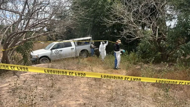 osamenta-11-234cd230-focus-0-0-1200-675