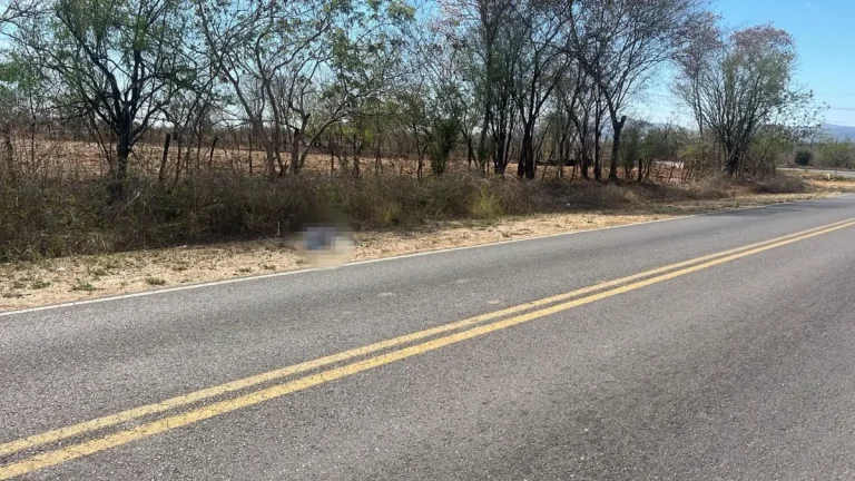 whatsapp-image-2026-04-03-at-101532-am-e1bd0d14-focus-0-0-1200-675