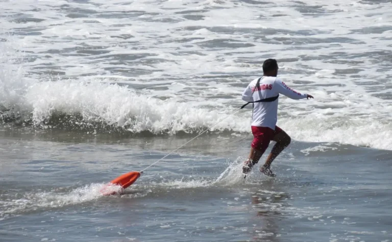 whatsapp-image-2026-04-06-at-90850-am-1-4d8a58ac-focus-0-0-1200-675