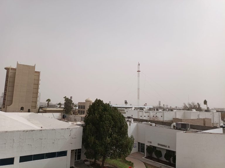 whatsapp20image202026-02-1720at202-01-2820pm