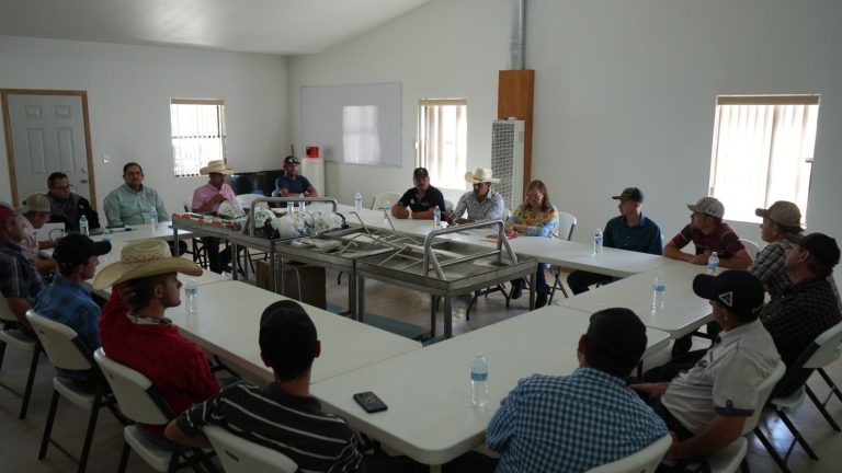 whatsapp20image202026-04-0120at2010-26-4128129