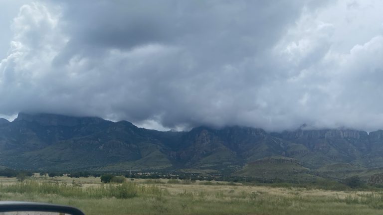 whatsapp20image202026-04-0320at2009-23-072028129