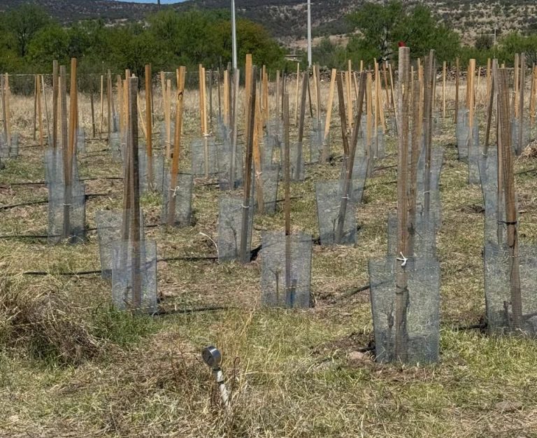 whatsapp20image202026-04-0820at2010-22-4628229