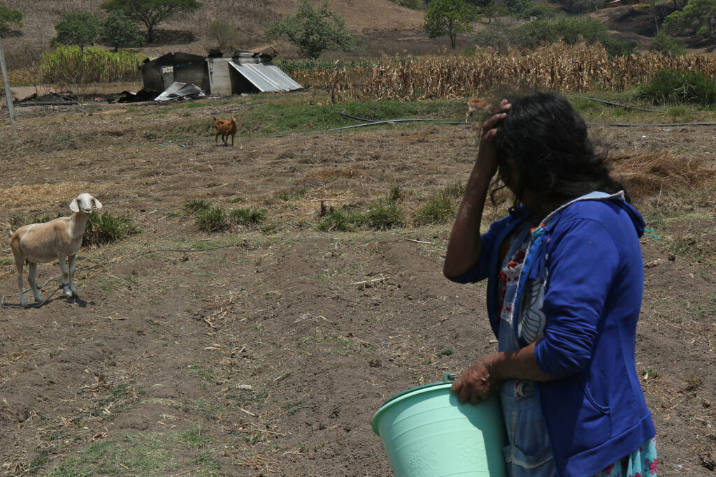 Comunidades indígenas de Chilapa quedan desiertas tras nueva ola de violencia criminal en Guerrero - 08245441d404967e94b04cd2df77f0f6be7901f8w-1024x683