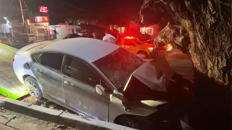 conductor-ebrio-causa-accidente-al-chocar-contra-un-arbol-en-los-mochis-306d86b6-focus-0-0-1200-675