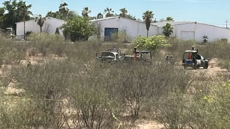 cuerpo-sin-vida-hallado-en-campo-el-diez-de-culiacan-18c941f0-focus-0-0-1200-675