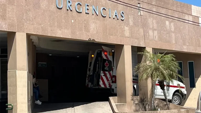 estudiante-de-prepa-fallece-tras-choque-con-caballo-en-sinaloa-7e8394fd-focus-0-0-1200-675