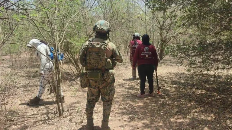 localizan-los-cuerpos-de-dos-mujeres-en-fosas-clandestinas-en-mazatlan-10800809-focus-0-0-1200-675
