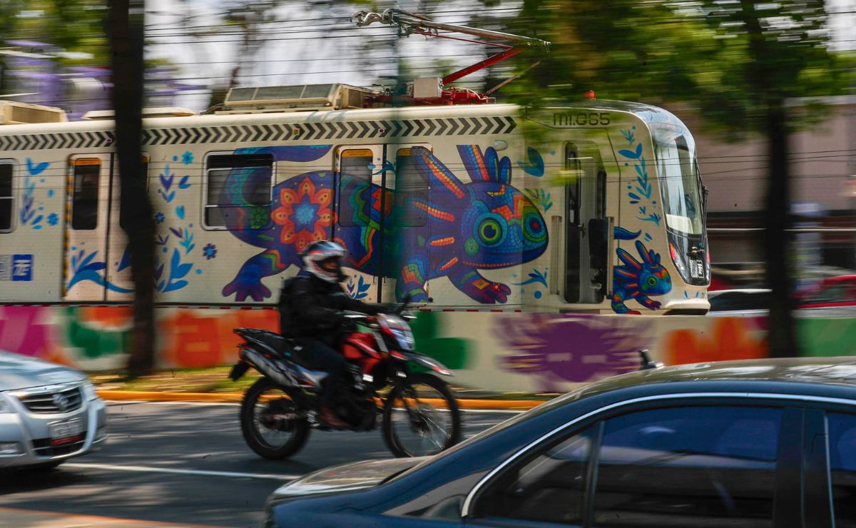 tren-ligero-el-ajolote CDMX se pinta de ajolotes a días del Mundial, mientras la especie desaparece - tren-ligero-el-ajolote