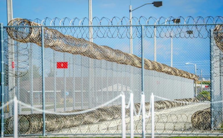 inmigrante-de-georgia-muere-bajo-custodia-del-ice-suman-19-casos-este-ano