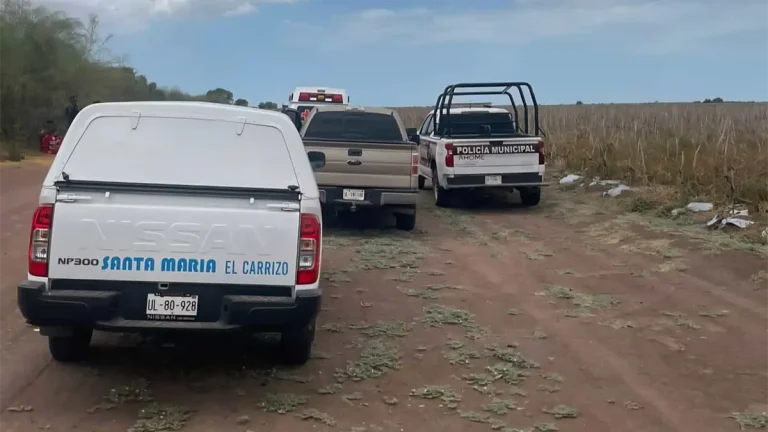 jornalero-muere-por-golpe-de-calor-en-campo-agricola-del-valle-del-carrizo-fbec884f-focus-0-0-1200-675