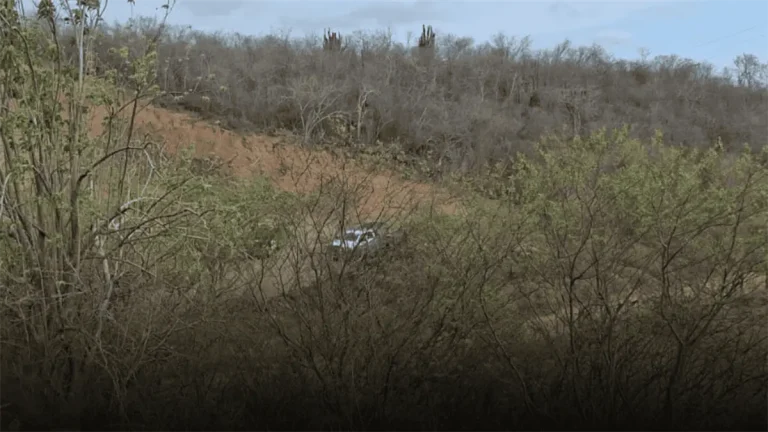 muerto-en-mazatlan-eacb5514-focus-0-0-1200-675