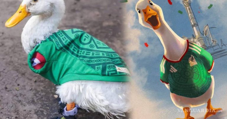 pato-mundial-merlin_1-15793645_20260615134316