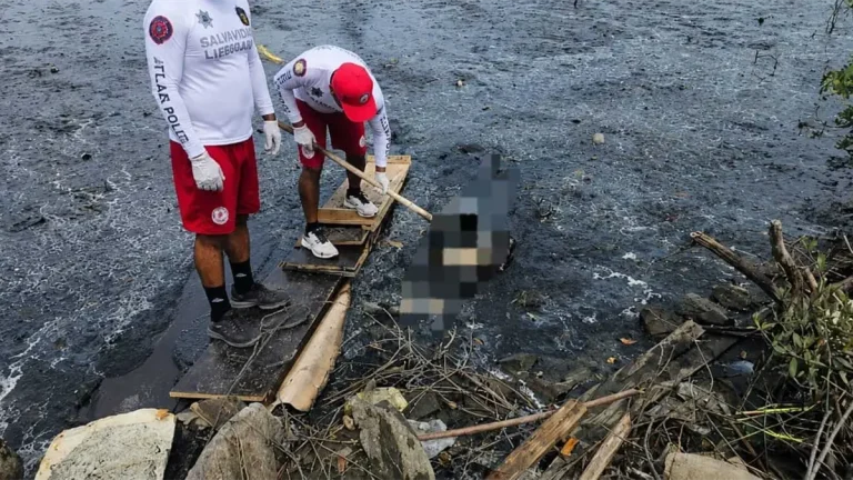 restos-encontrados-en-marisma-de-mazatlan-resultan-ser-de-un-cerdo-14b6a7b5-focus-0-0-1200-675