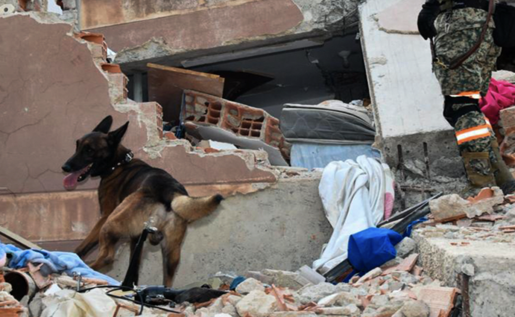 sedena-1-1024x631-1 México despliega 261 efectivos y equipos especializados para apoyar a Venezuela tras los terremotos - sedena-1-1024x631