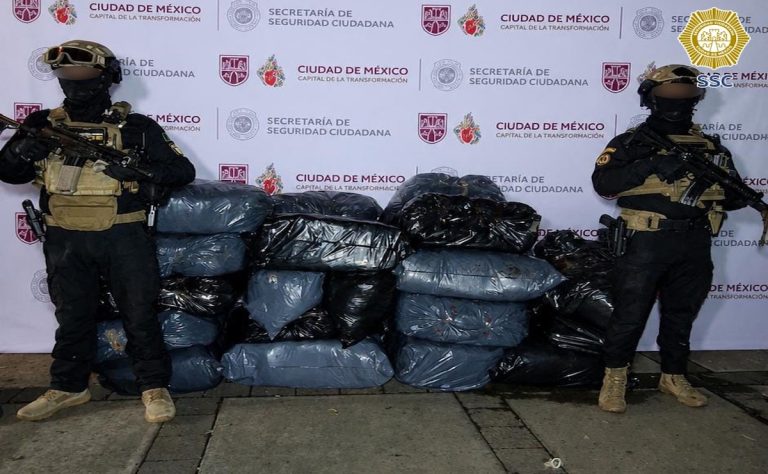 aseguran-media-tonelada-de-aparente-marihuana-durante-cateo-en-la-gam