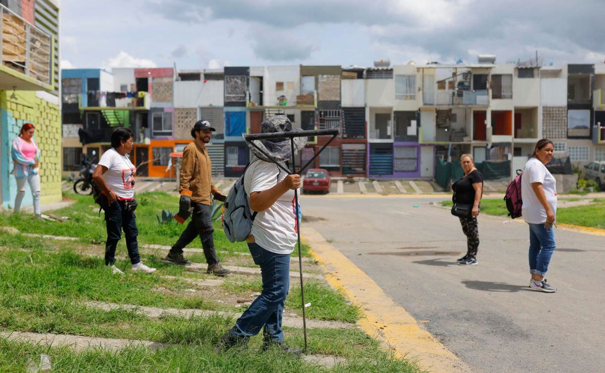 integrantes-del-colectivo-luz-de-esperanza-realizan-una-busqueda-de-personas-y-familiares-desaparecidos-en-tlajomulco-de-zuniga-jalisco Crimen organizado diversifica sus tácticas para reclutar adolescentes en México - integrantes-del-colectivo-luz-de-esperanza-realizan-una-busqueda-de-personas-y-familiares-desaparecidos-en-tlajomulco-de-zuniga-jalisco