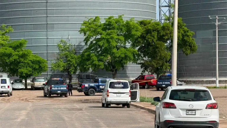 rina-en-empresa-semillera-de-guamuchil-deja-dos-trabajadores-muertos-3723ec2a-focus-0-04-min0-37-1200-675