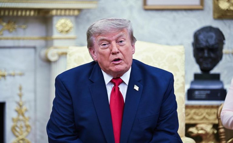 trump-denuncia-fraude-electoral-pero-sus-documentos-no-respaldan-tal-version-que-dicen-y-sobre-cual-eleccion-fue