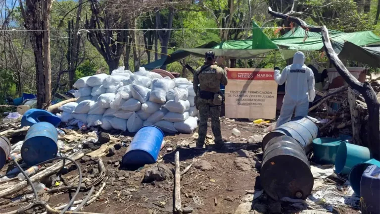 aseguran-el-segundo-narcolaboratorio-mas-grande-del-sexenio-en-sinaloa-ff0ff6f4-focus-0-0-1200-675