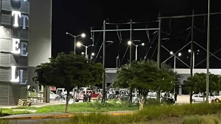 fuerzas-federales-y-helicopteros-realizan-operativo-en-guasave-da4e877a-focus-0-0-1200-675