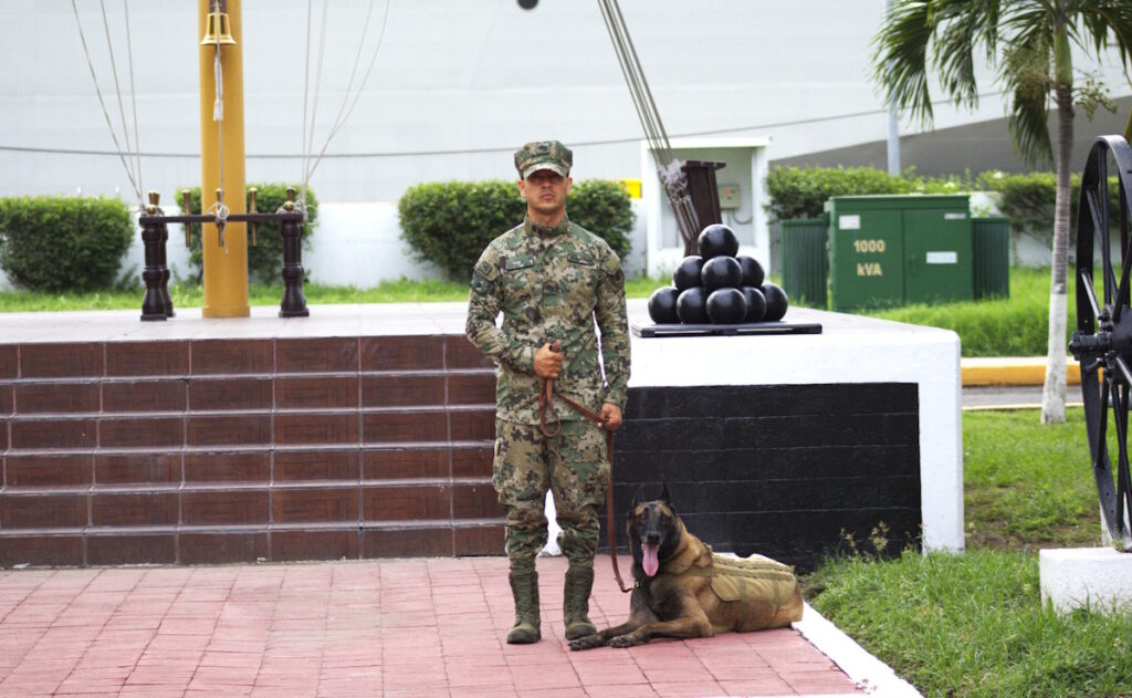 hermes-binomio-canino-marina-1024x631-1 Adiós a 'Hermes': la Marina reconoce trayectoria de binomio canino en Manzanillo - hermes-binomio-canino-marina-1024x631