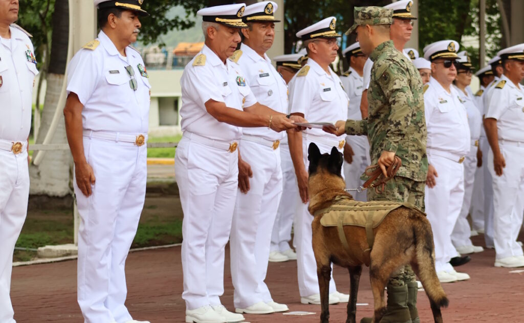 hermes-binomio-canino-marina-3-1024x631-1 Adiós a 'Hermes': la Marina reconoce trayectoria de binomio canino en Manzanillo - hermes-binomio-canino-marina-3-1024x631