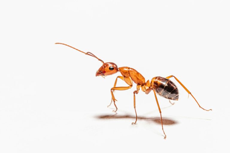 peter-f-wolf-xg8eynydz54-unsplash-scaled-1