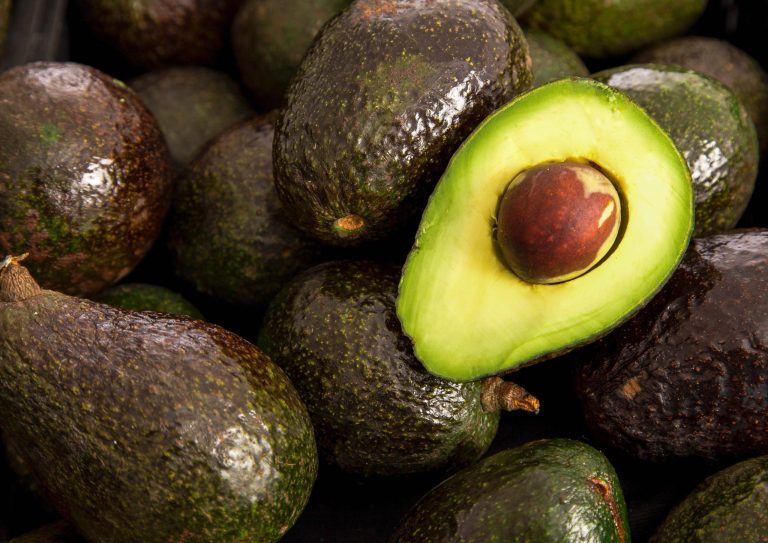 aguacate-mexicano-1-scaled-1
