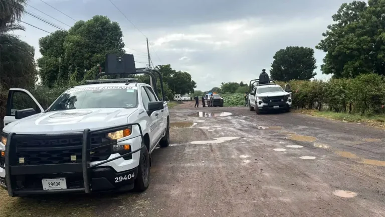 cuerpo-en-descomposicion-hallado-cerca-de-la-carretera-los-mochis-topolobampo-b18c147b-focus-0-0-1200-675
