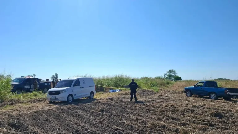 hombre-hallado-sin-vida-en-predio-agricola-de-guasave-c8411bde-focus-0-0-1200-675