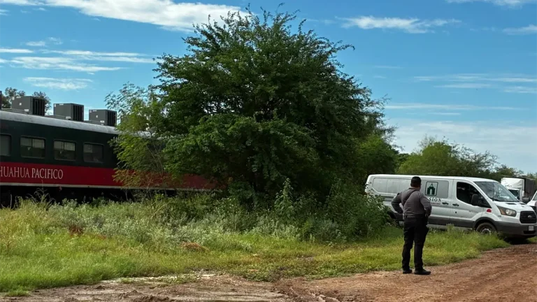 joven-de-17-anos-fallece-arrollado-por-el-tren-chepe-en-ahome-1e814719-focus-0-0-1200-675