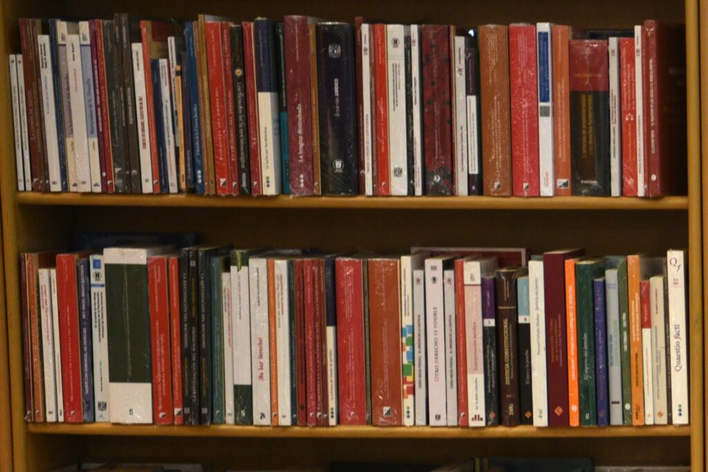 Las escuelas públicas de EE.UU. vetaron 12 mil libros en el último curso, un récord - libros-libreria-novedades-1024x683