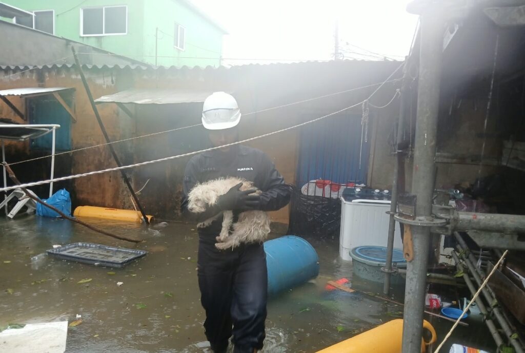 Marina activa fase de auxilio en Coatzacoalcos por afectaciones del frente frío número 2 - marina-activa-fase-de-auxilio-en-coatzacoalcos-por-afectaciones-del-frente-frio-2-2-1024x689