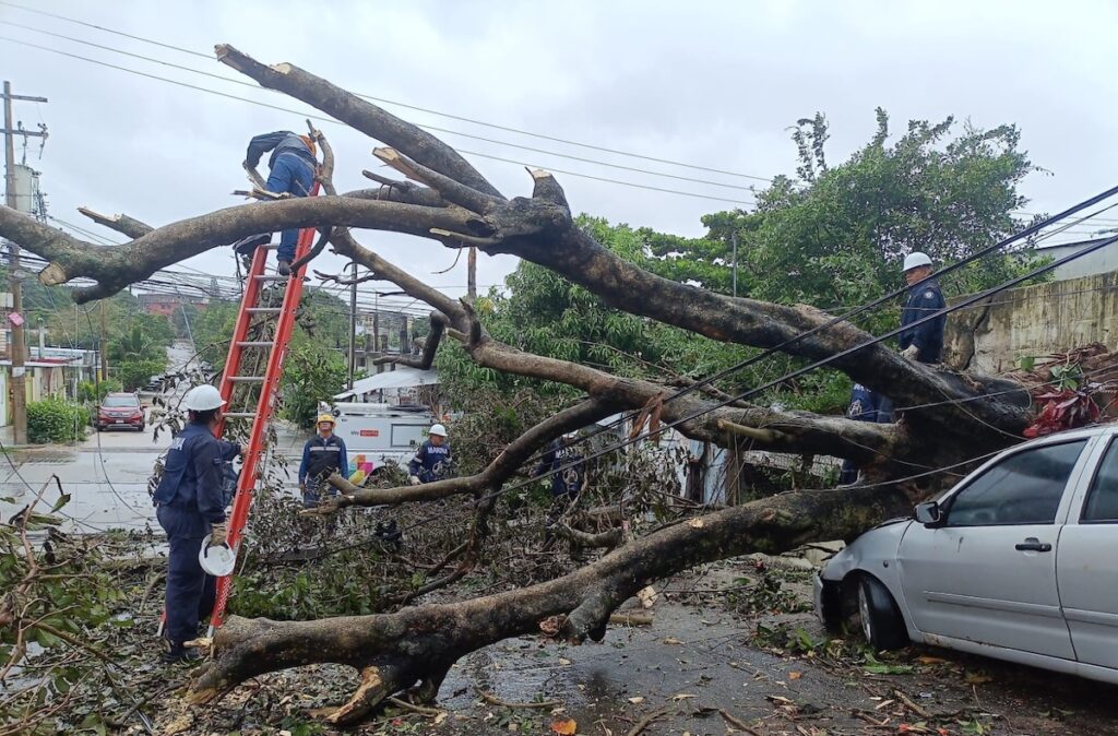 Marina activa fase de auxilio en Coatzacoalcos por afectaciones del frente frío número 2 - marina-activa-fase-de-auxilio-en-coatzacoalcos-por-afectaciones-del-frente-frio-2-5-1024x674